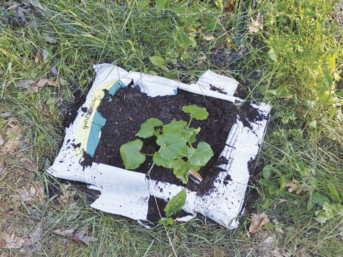 Garden in a bag?